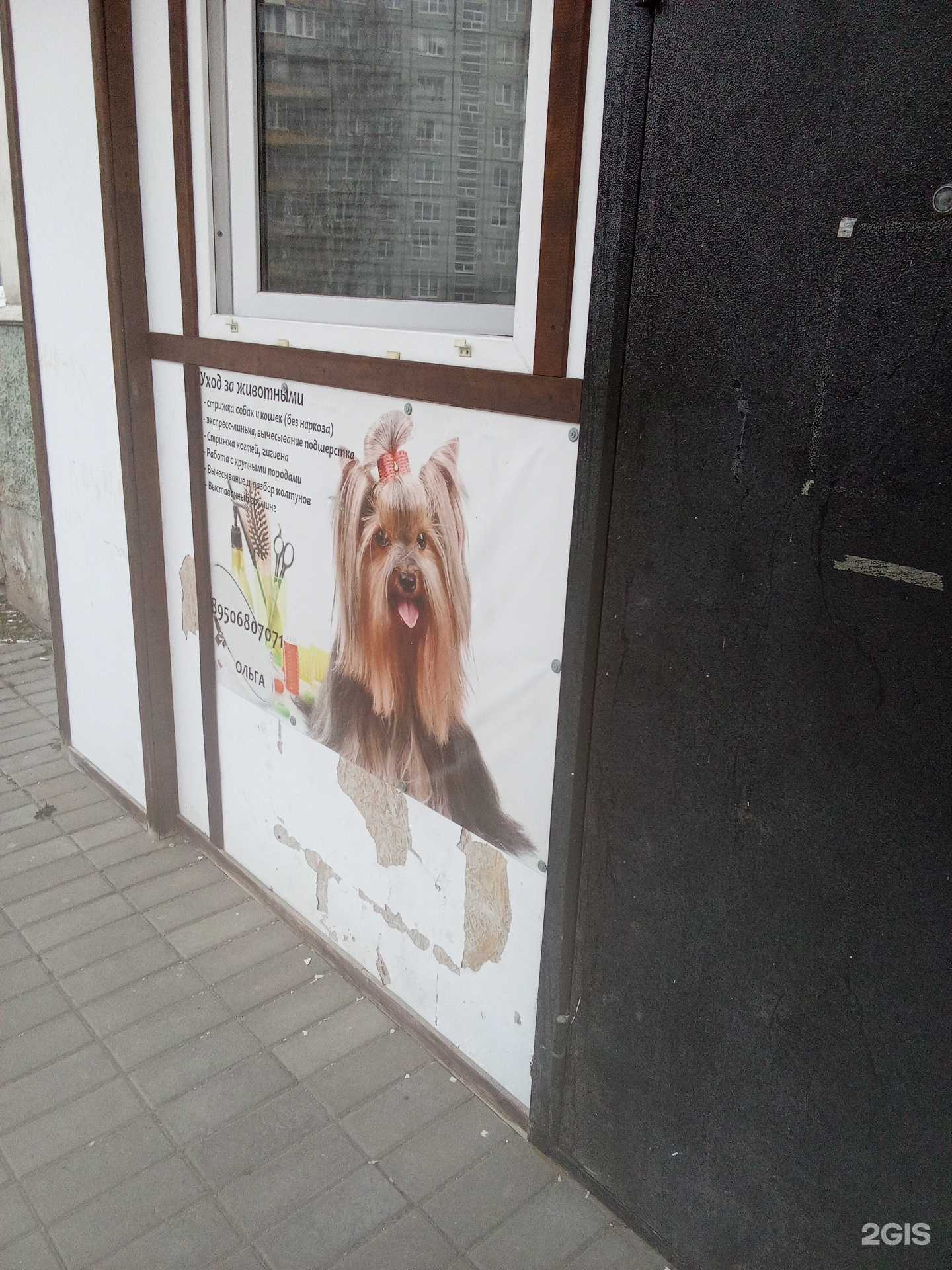 Отзывы на компанию Зоостиль в Великом Новгороде c фото