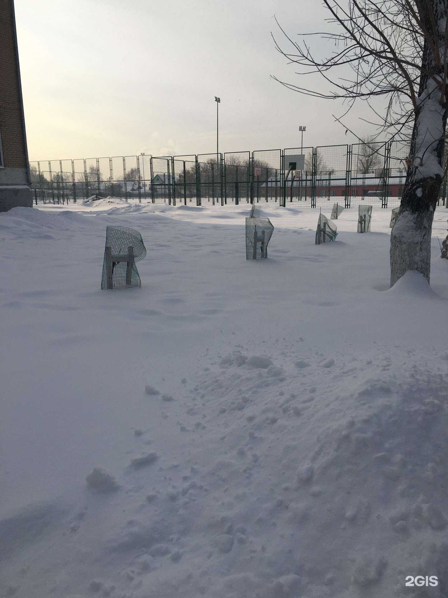 Отзывы на компанию Средняя школа №71 в г. Челябинск c фото