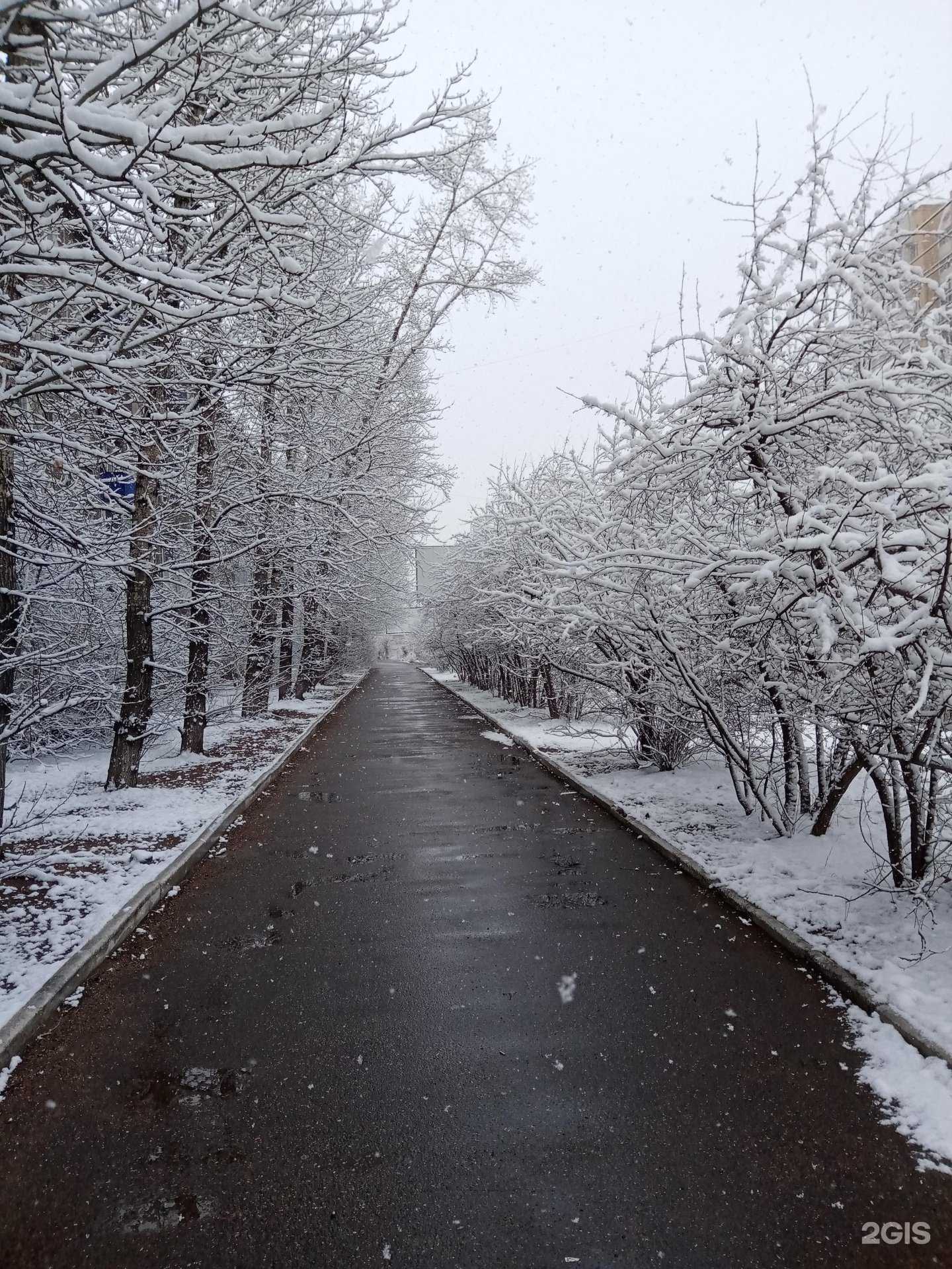 Отзывы на компанию Алина в Чите c фото - фотография 2 из 2