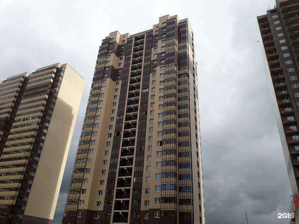 Отзывы на компанию ПроАктивность в Реутове c фото - фотография 2 из 2