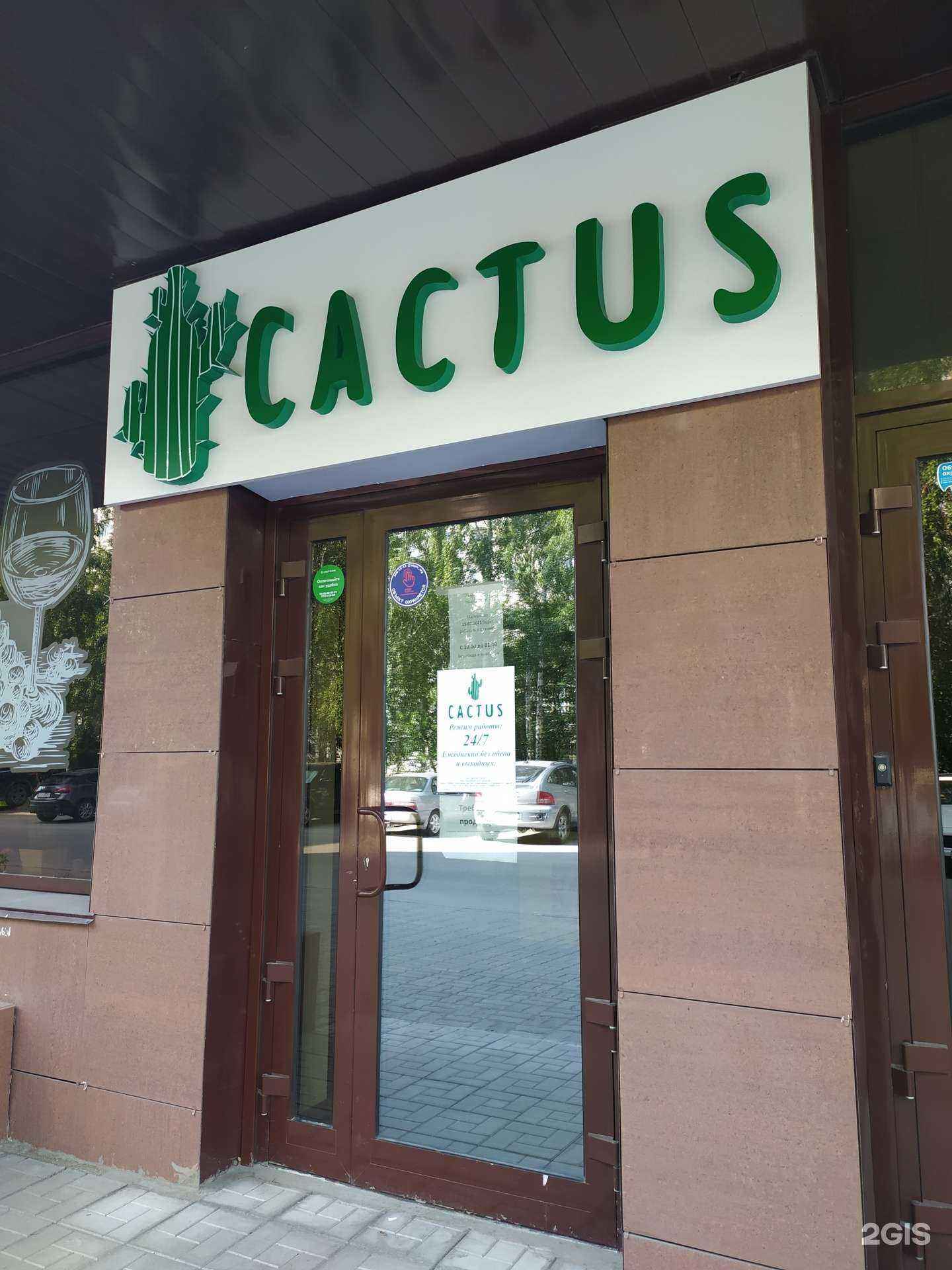 Отзывы на компанию Cactus в Новосибирске c фото