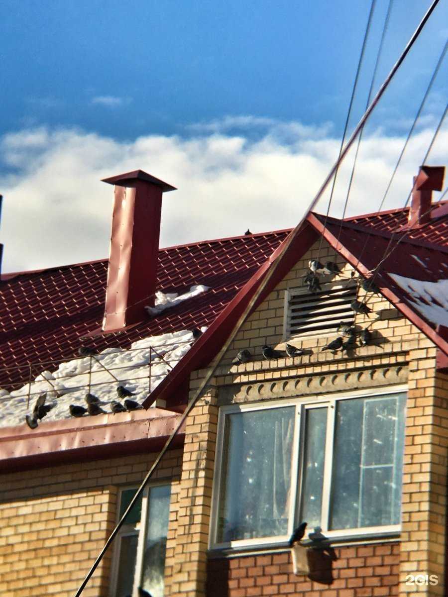 Отзывы на компанию Колибри в Мегионе c фото - фотография 2 из 2