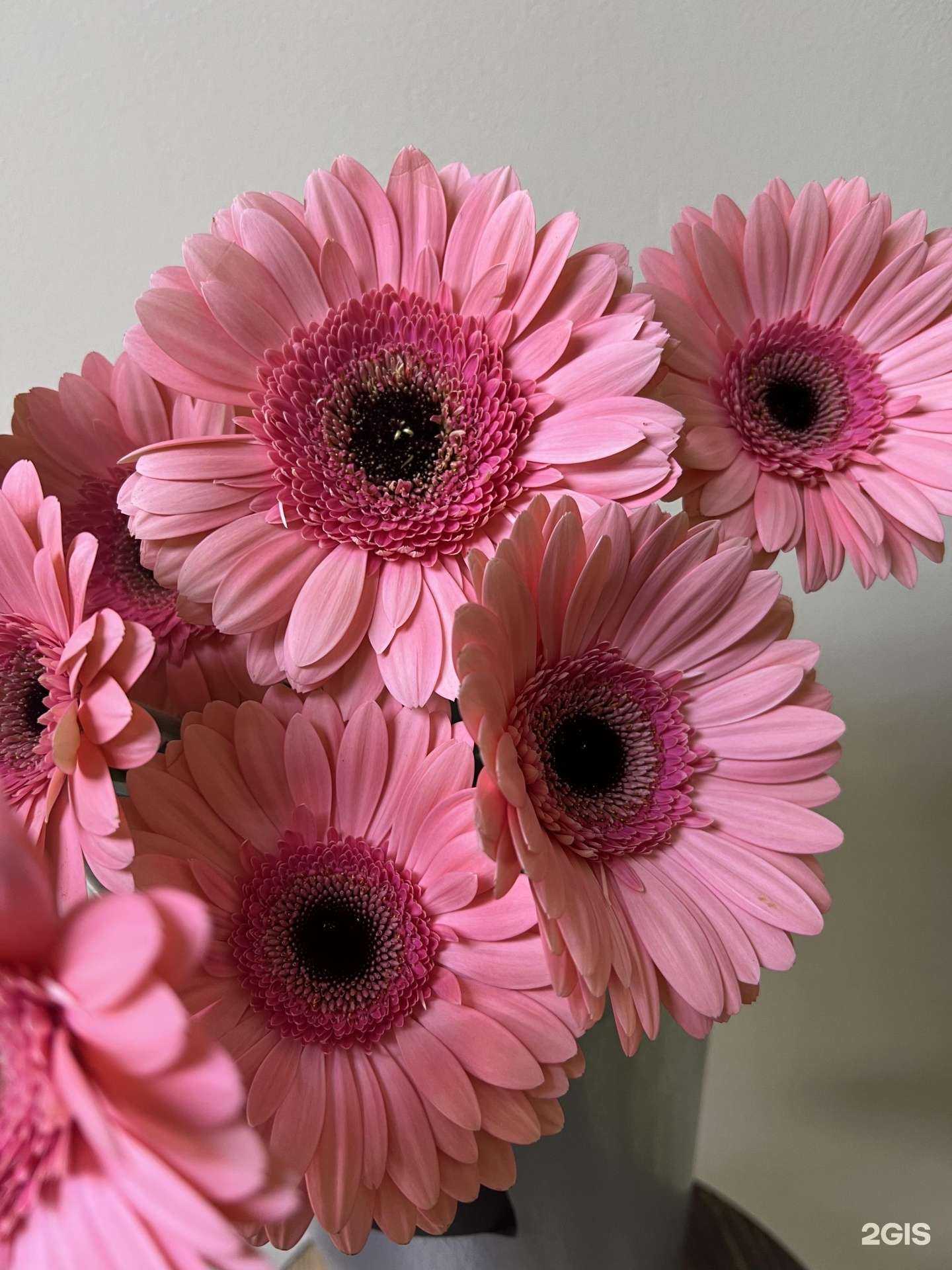 Отзывы на компанию В саду в Нижнем Новгороде c фото