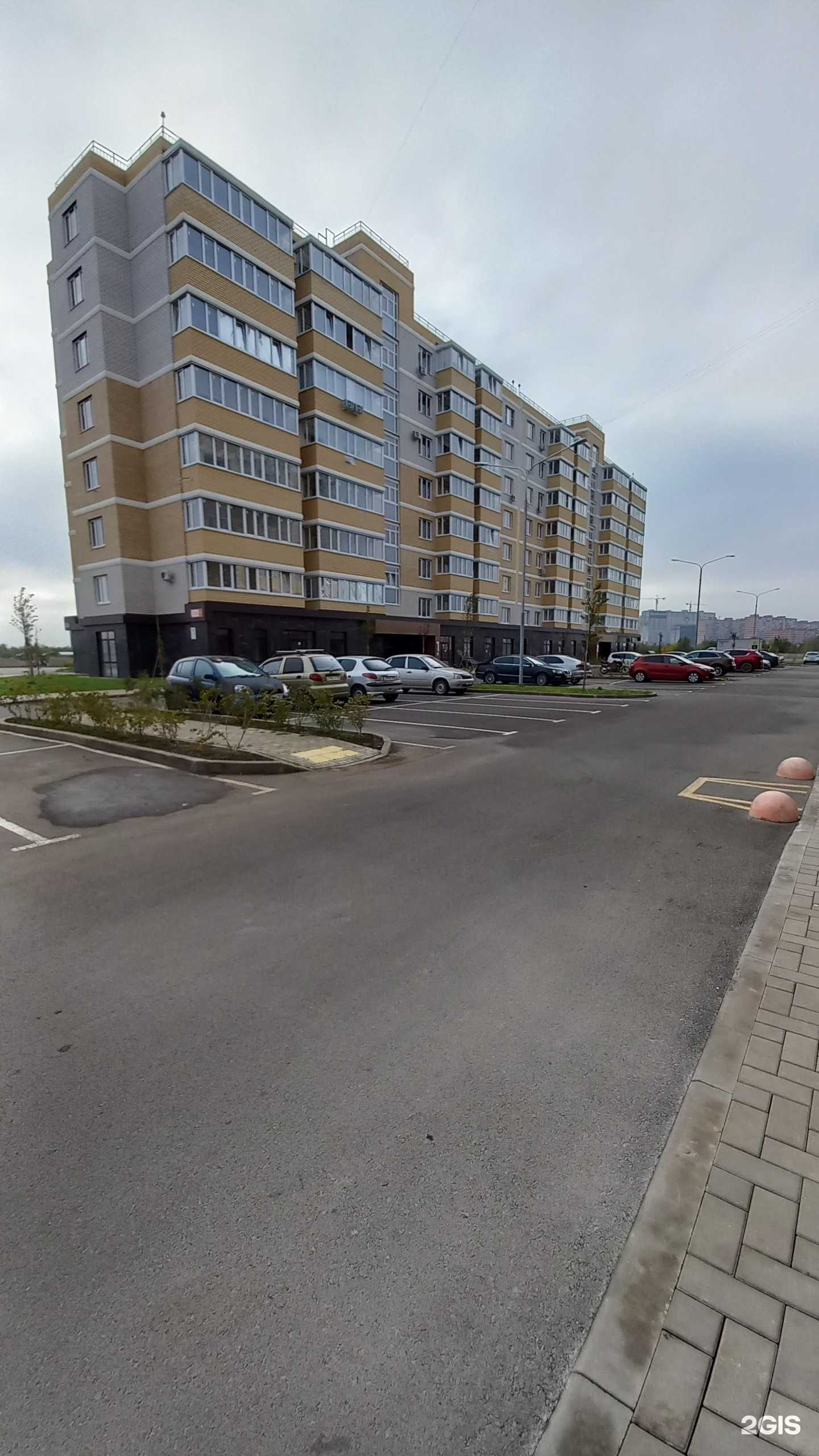 Отзывы на компанию Просто Спорт в Краснодаре c фото