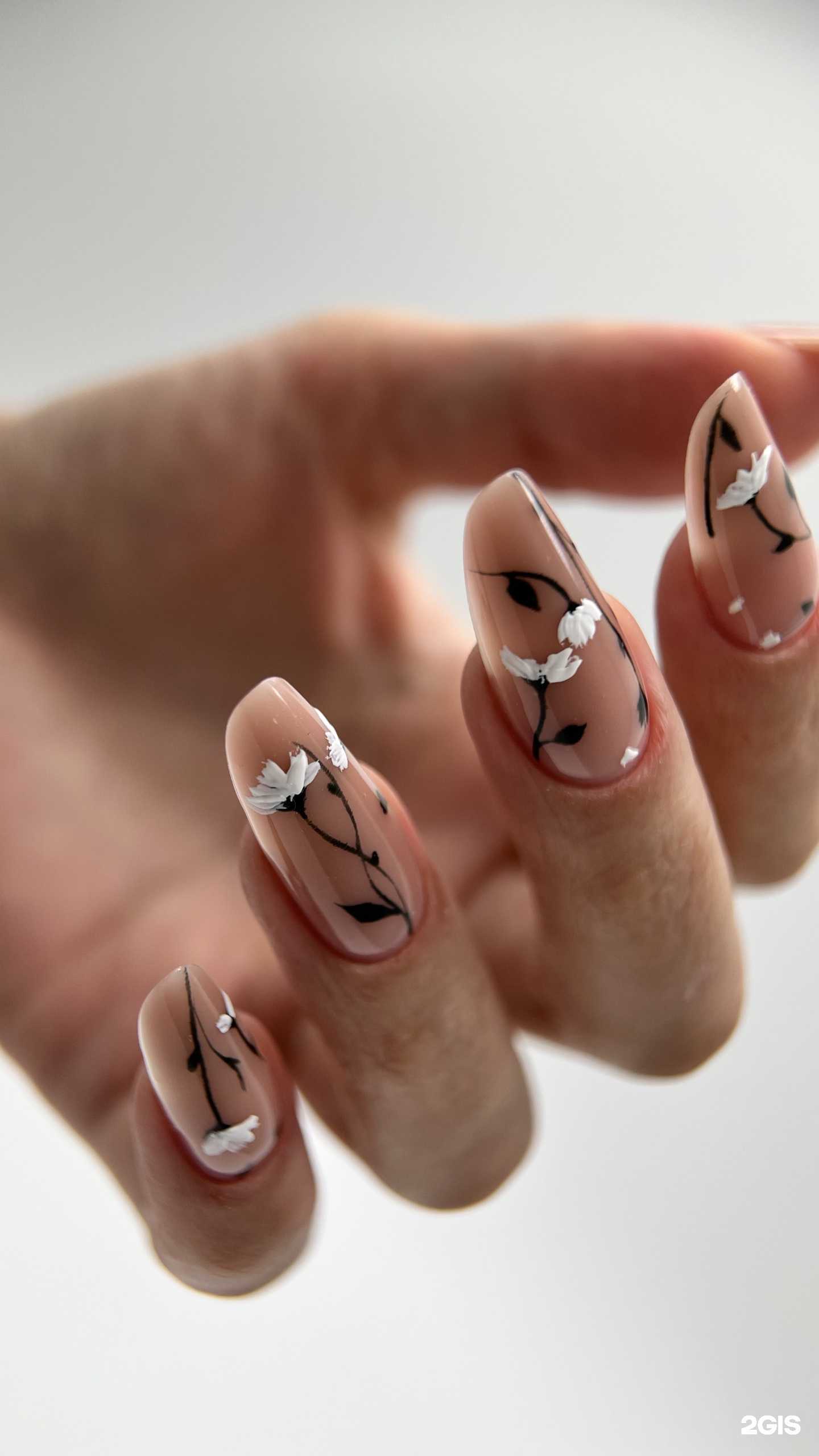 Отзывы на компанию Kitrnsnail в Саратове c фото