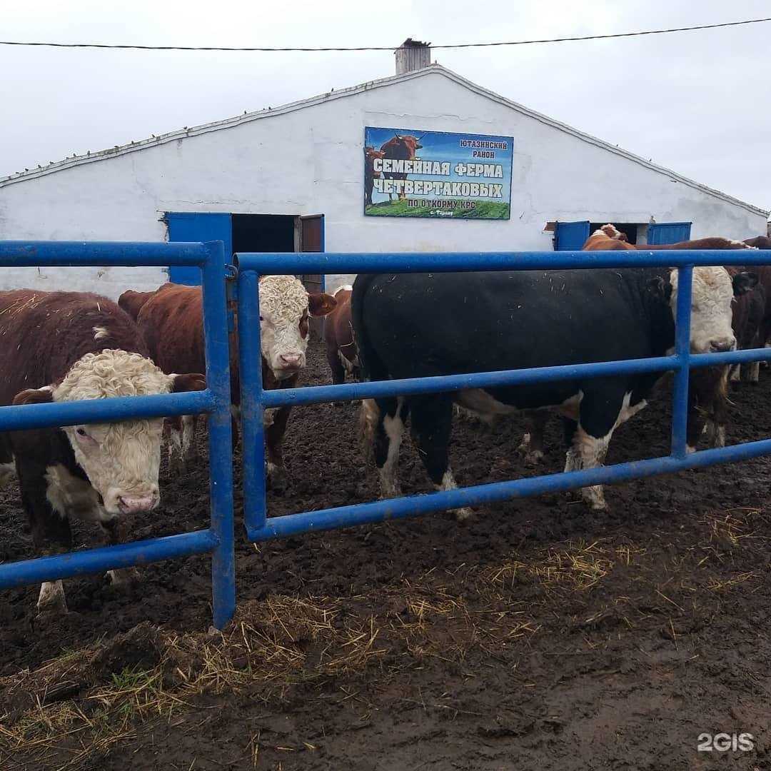 Отзывы на компанию Тарлау в Октябрьском c фото