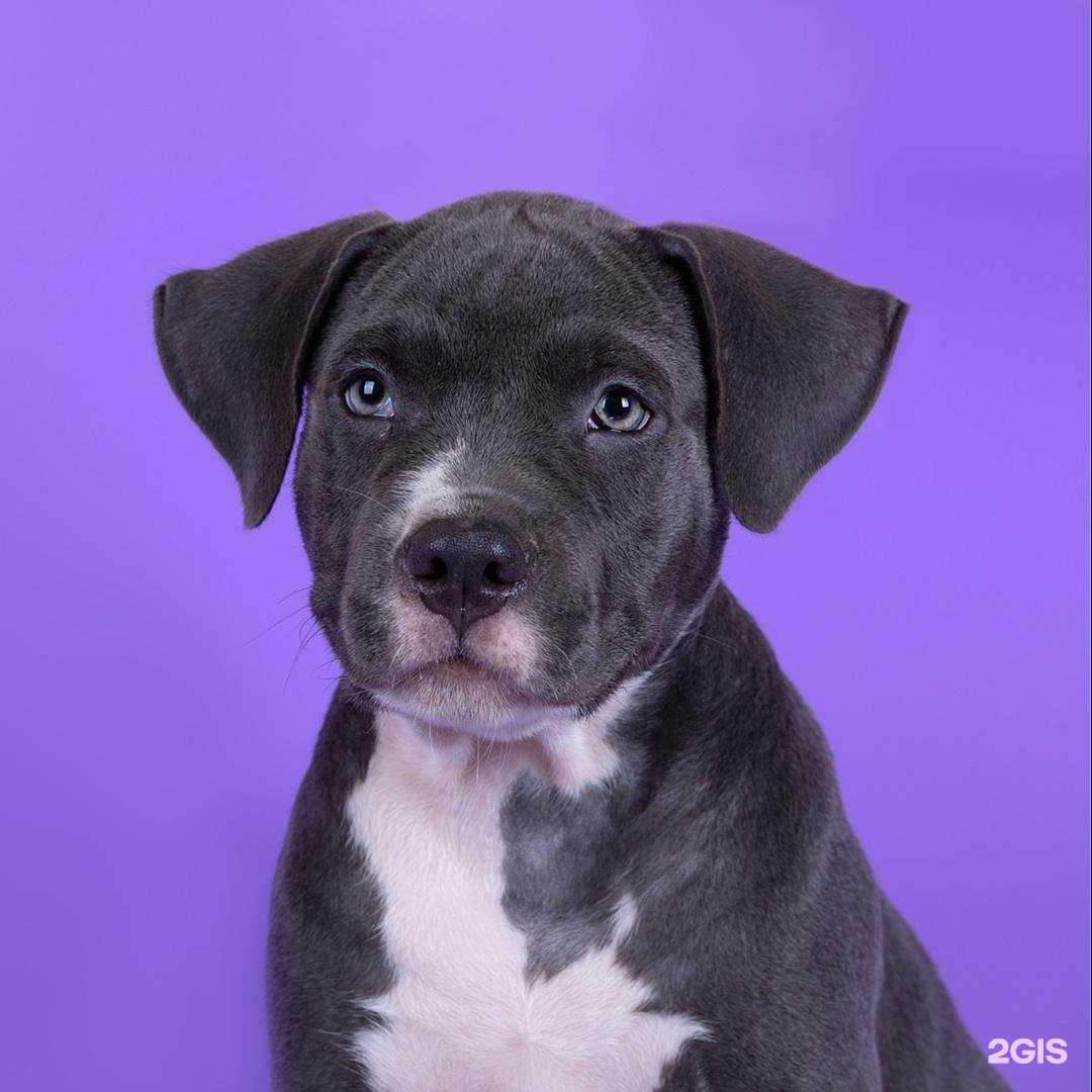 Отзывы на компанию Ле`муррр в Выксе c фото