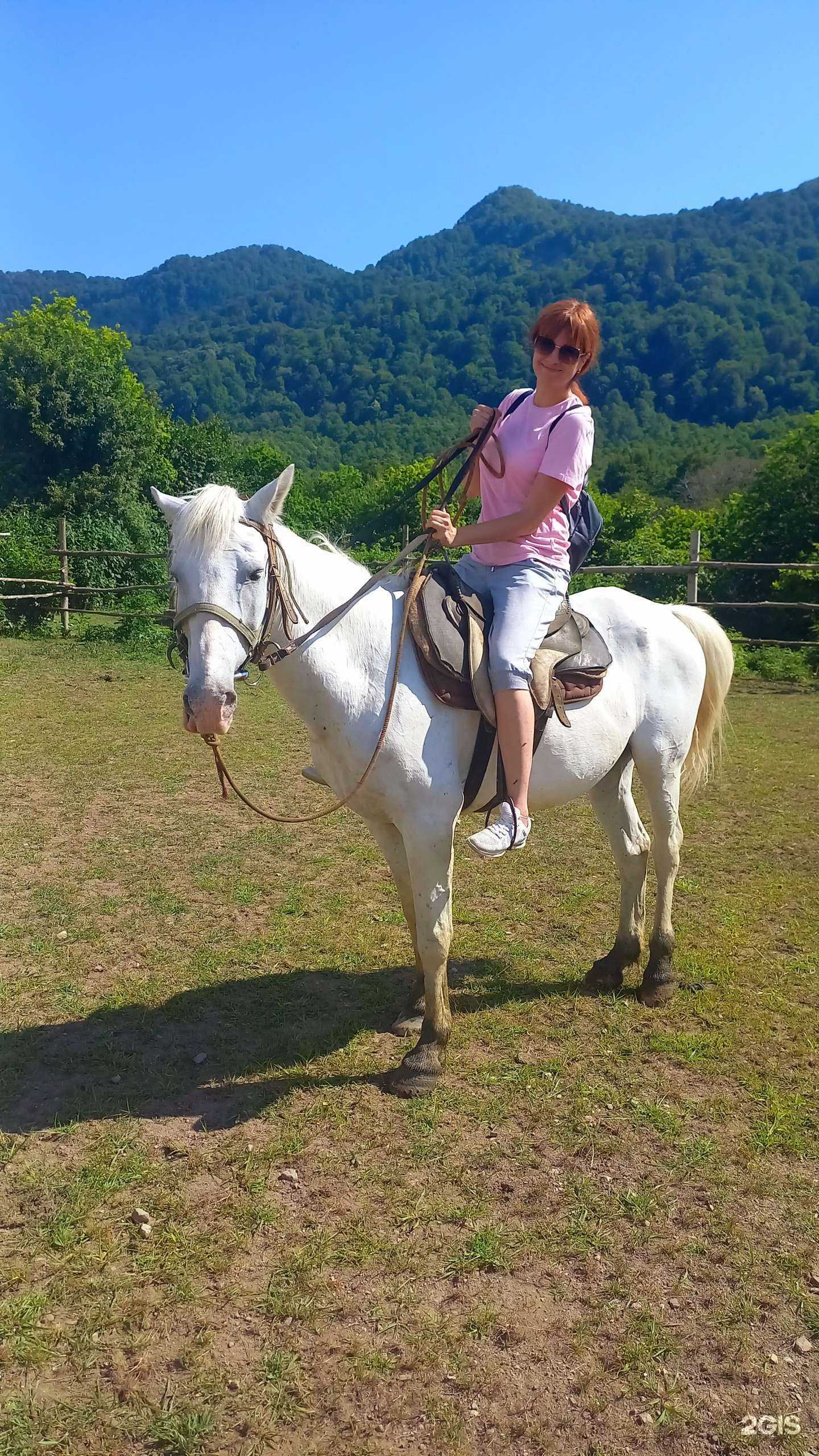 Отзывы на компанию Виват в Сочи c фото