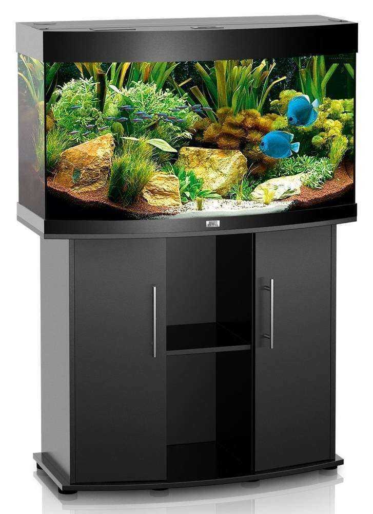 Отзывы на компанию Дельфин в г. Копейск c фото