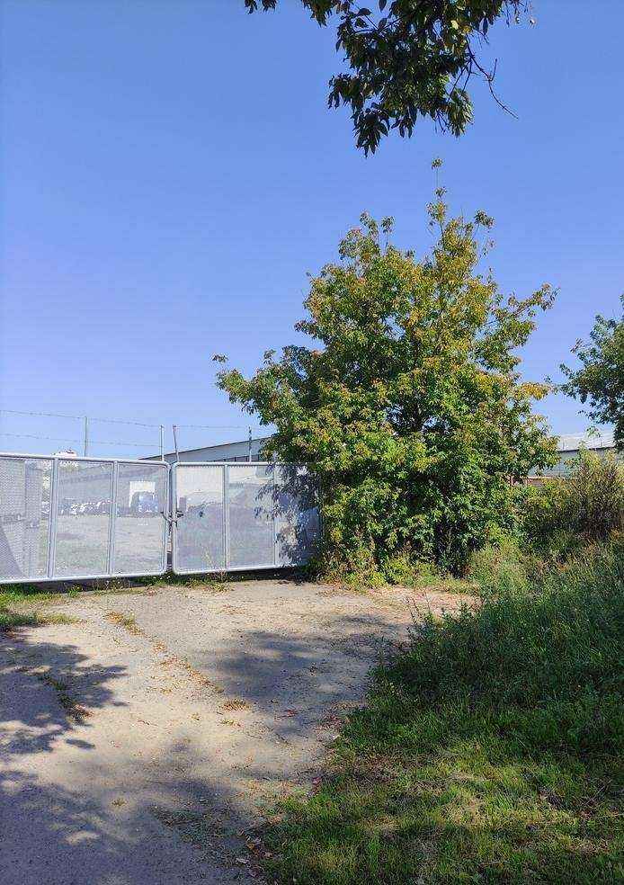 Отзывы на компанию Импорттехсервис в Долгопрудном c фото