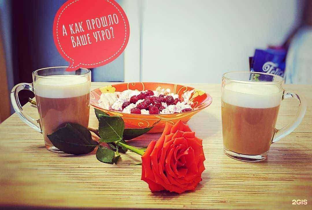 Отзывы на компанию VANLang в Красноярске c фото