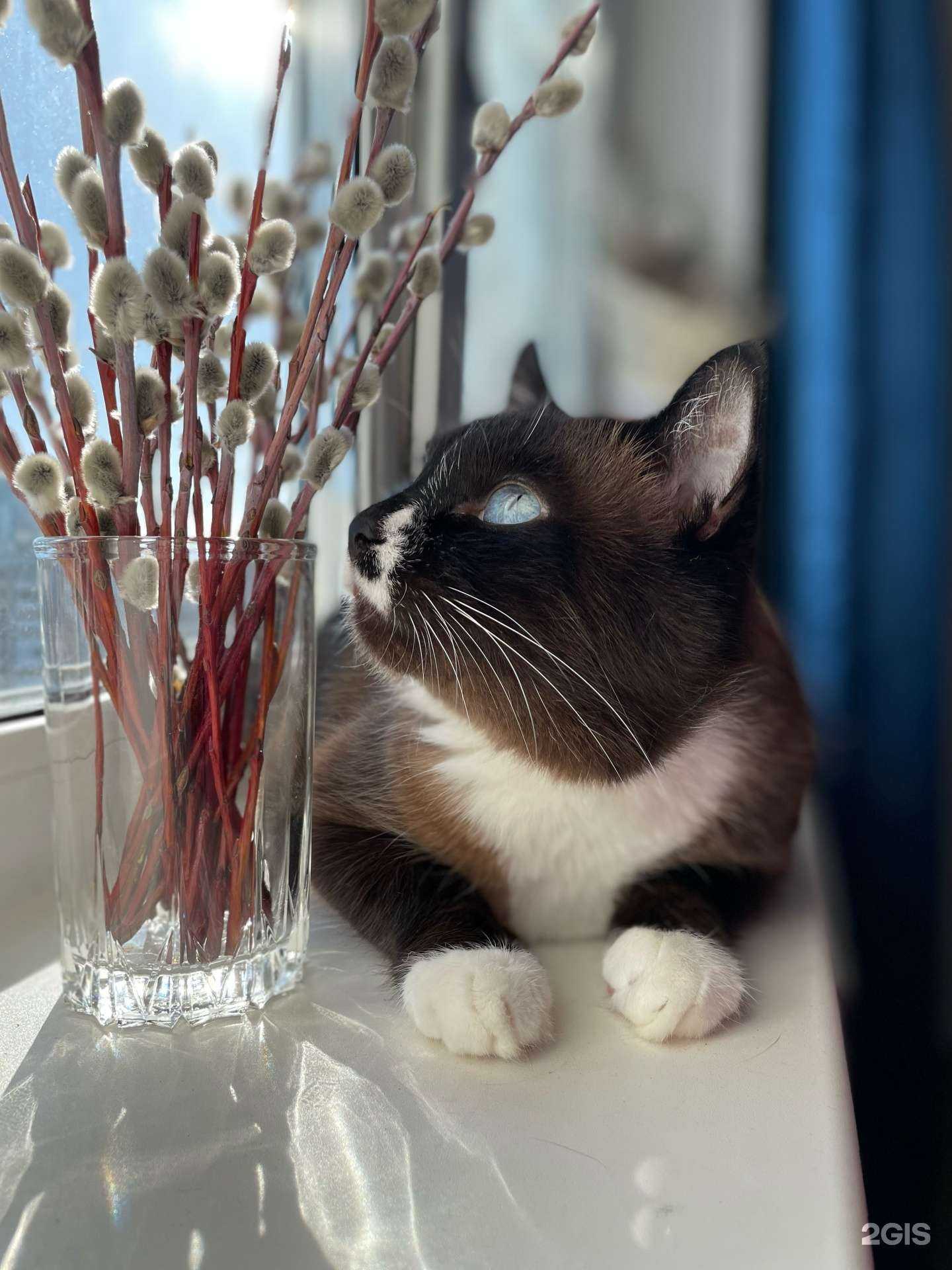 Отзывы на компанию Центровет в г. Красноярск c фото