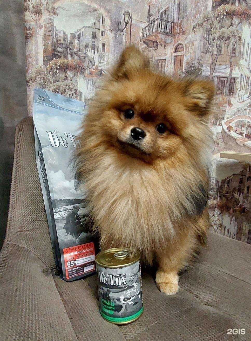 Отзывы на компанию Acari Ciar в Белгороде c фото