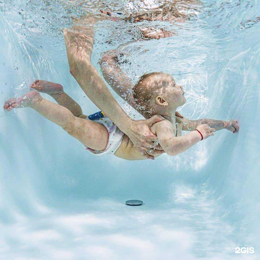 Отзывы на компанию Буль-Буль в г. Новосибирск c фото