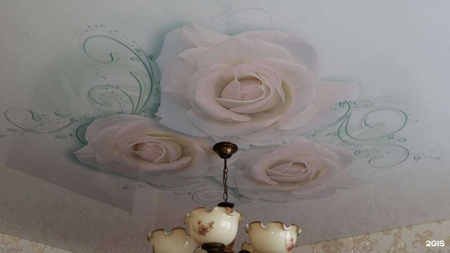 Отзывы на компанию Экопласт33 в Владимире c фото