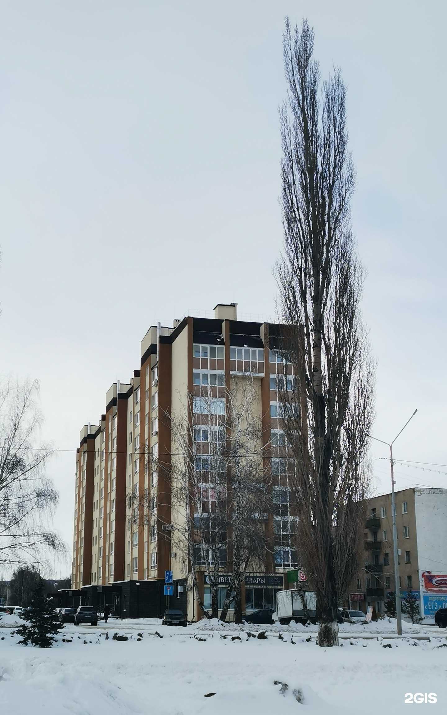 Отзывы на компанию Пинта в Туймазах c фото - фотография 2 из 2