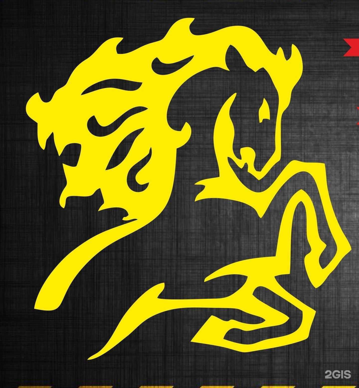 Отзывы на компанию Pegass в Самаре c фото