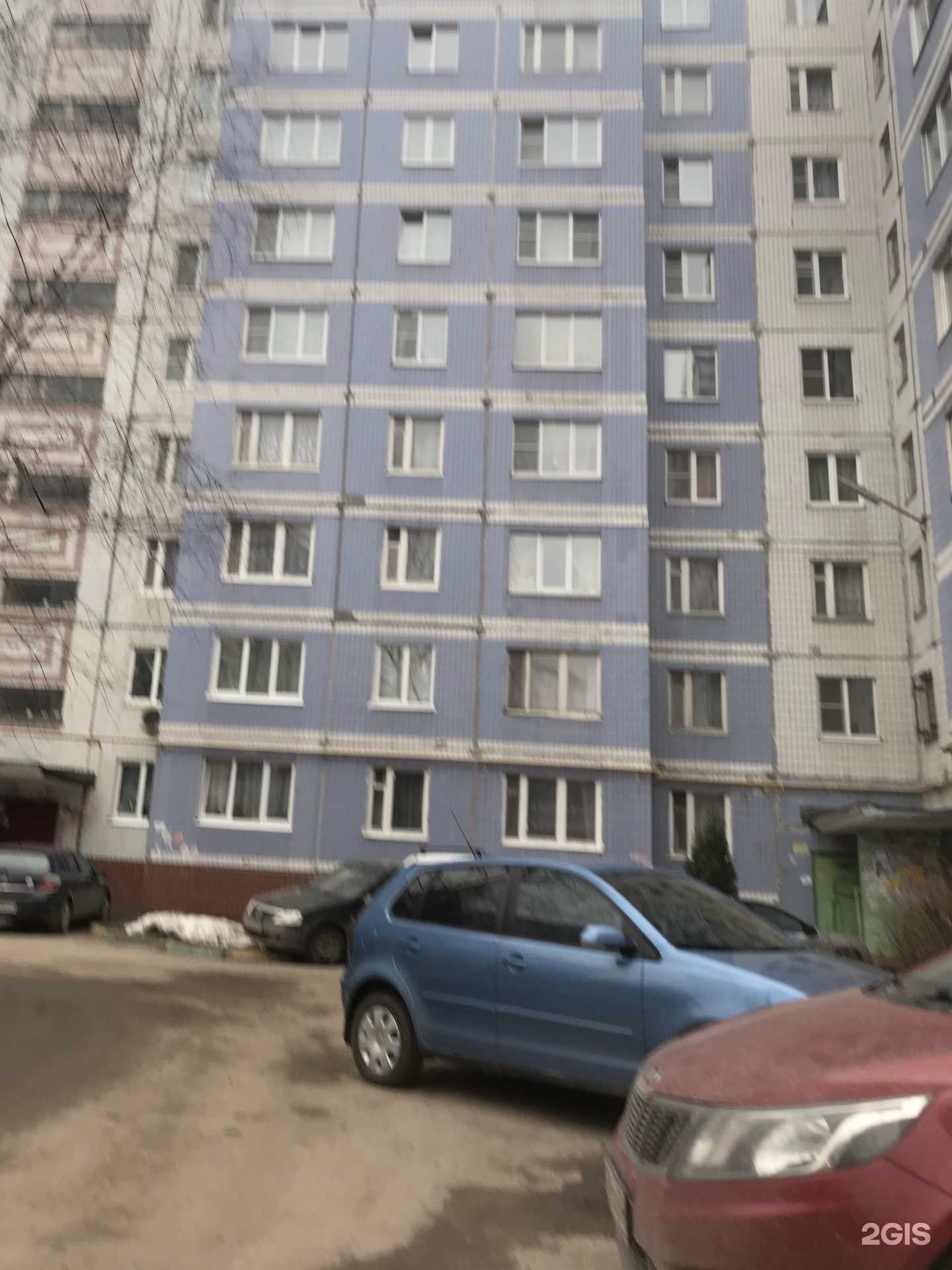 Отзывы на компанию Напалков в Рязани c фото - фотография 2 из 2