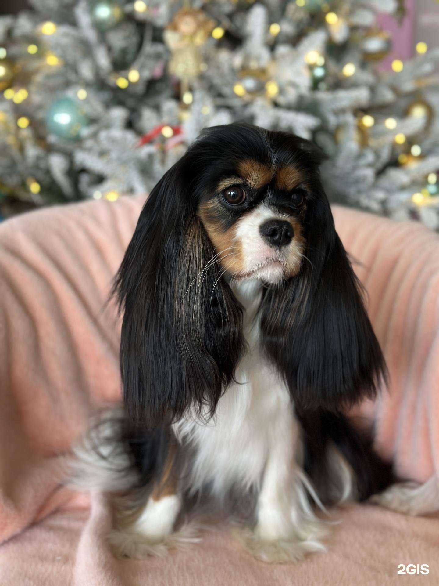 Отзывы на компанию Глория шик в Находке c фото