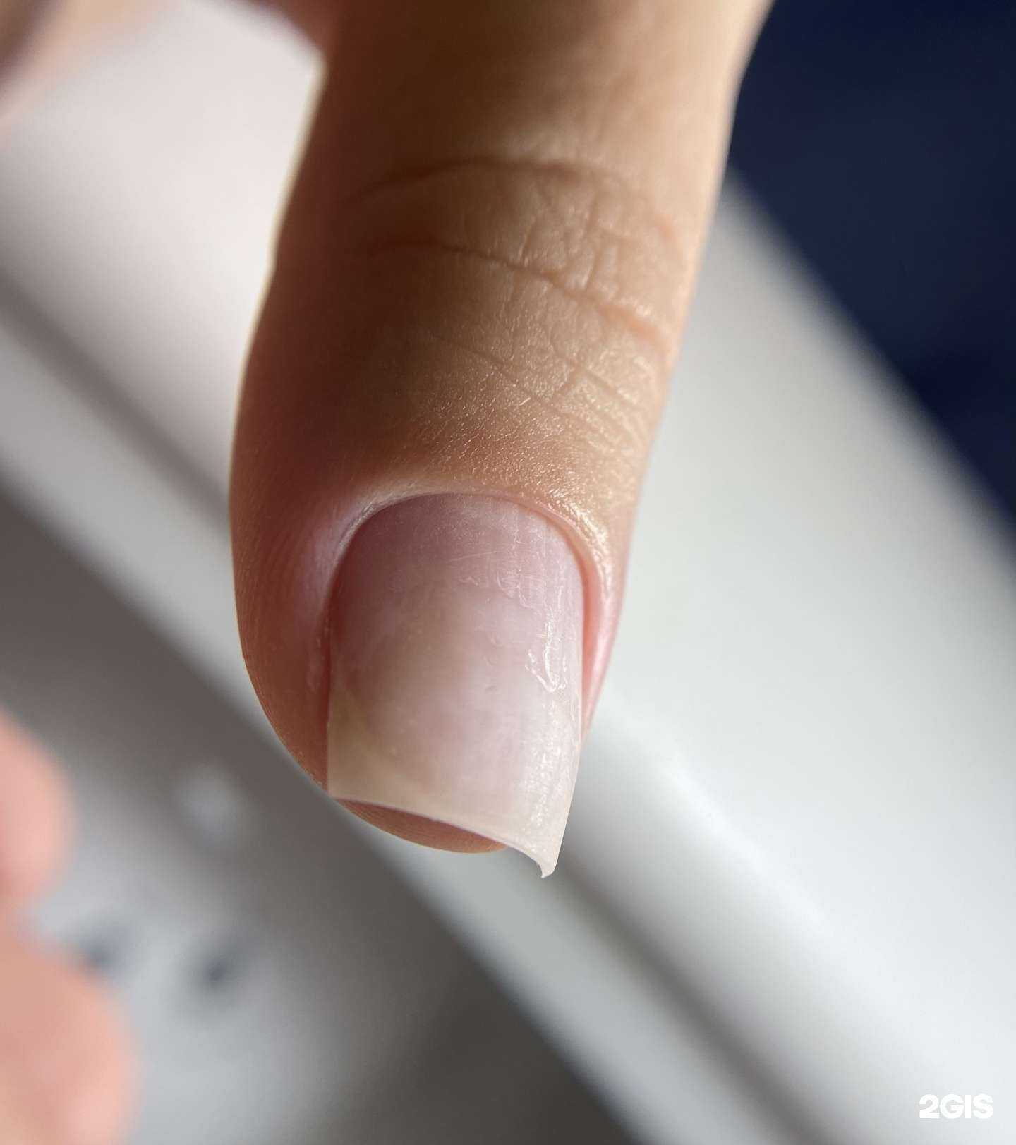 Отзывы на компанию Фрида  в Чите c фото