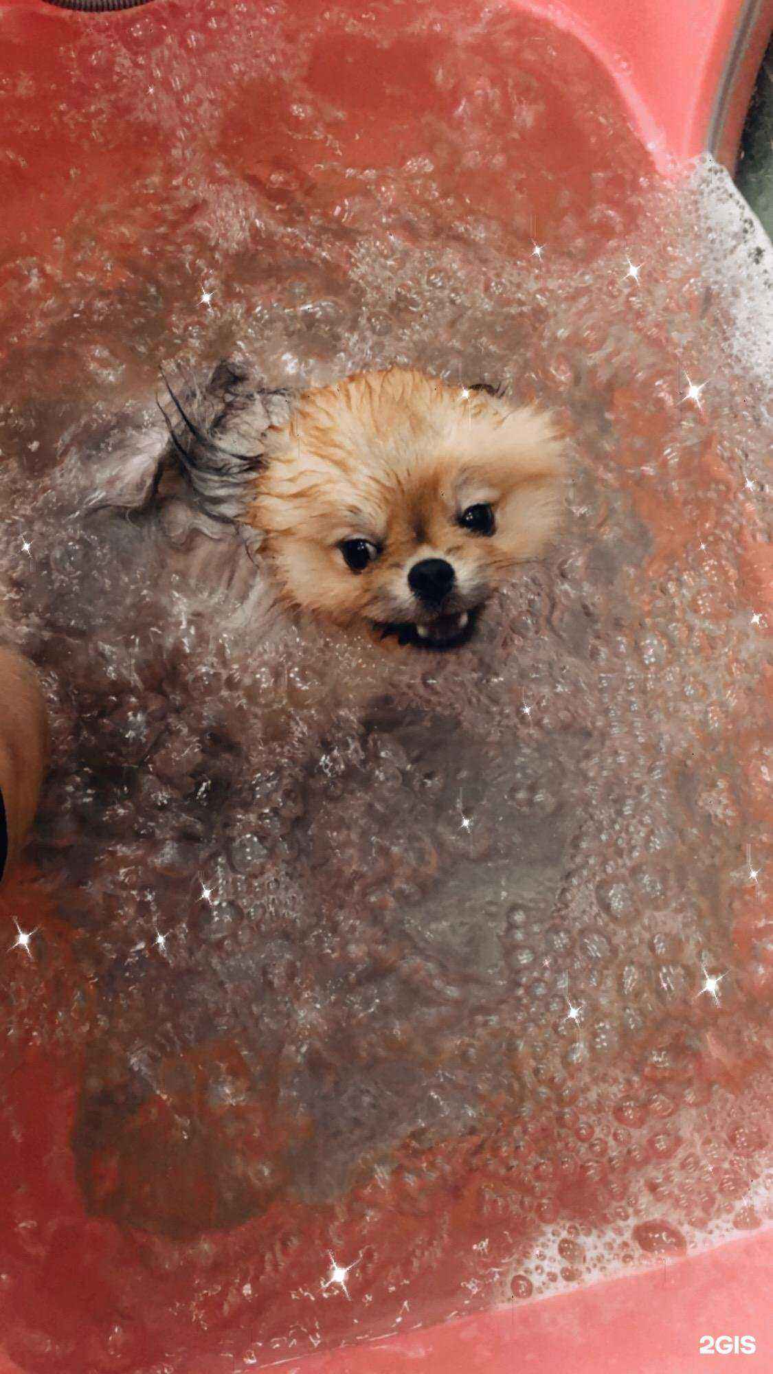 Отзывы на компанию Цацагрум в Казани c фото