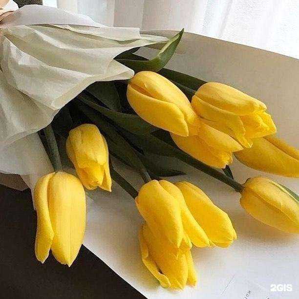 Отзывы на компанию Pogos.ru в Красноярске c фото