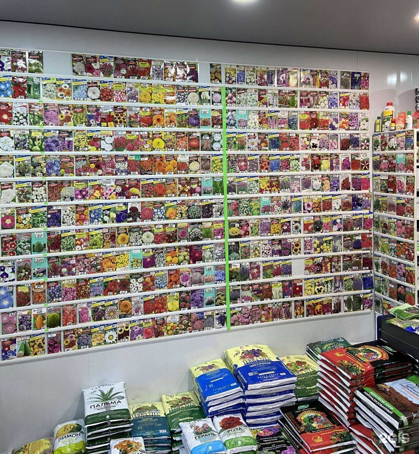 Отзывы на компанию Семена Краснодар в г. Краснодар c фото