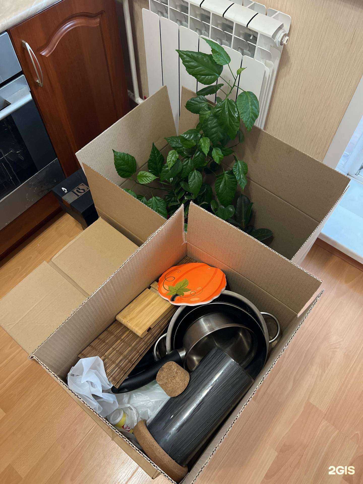 Отзывы на компанию Голопер в г. Новосибирск c фото