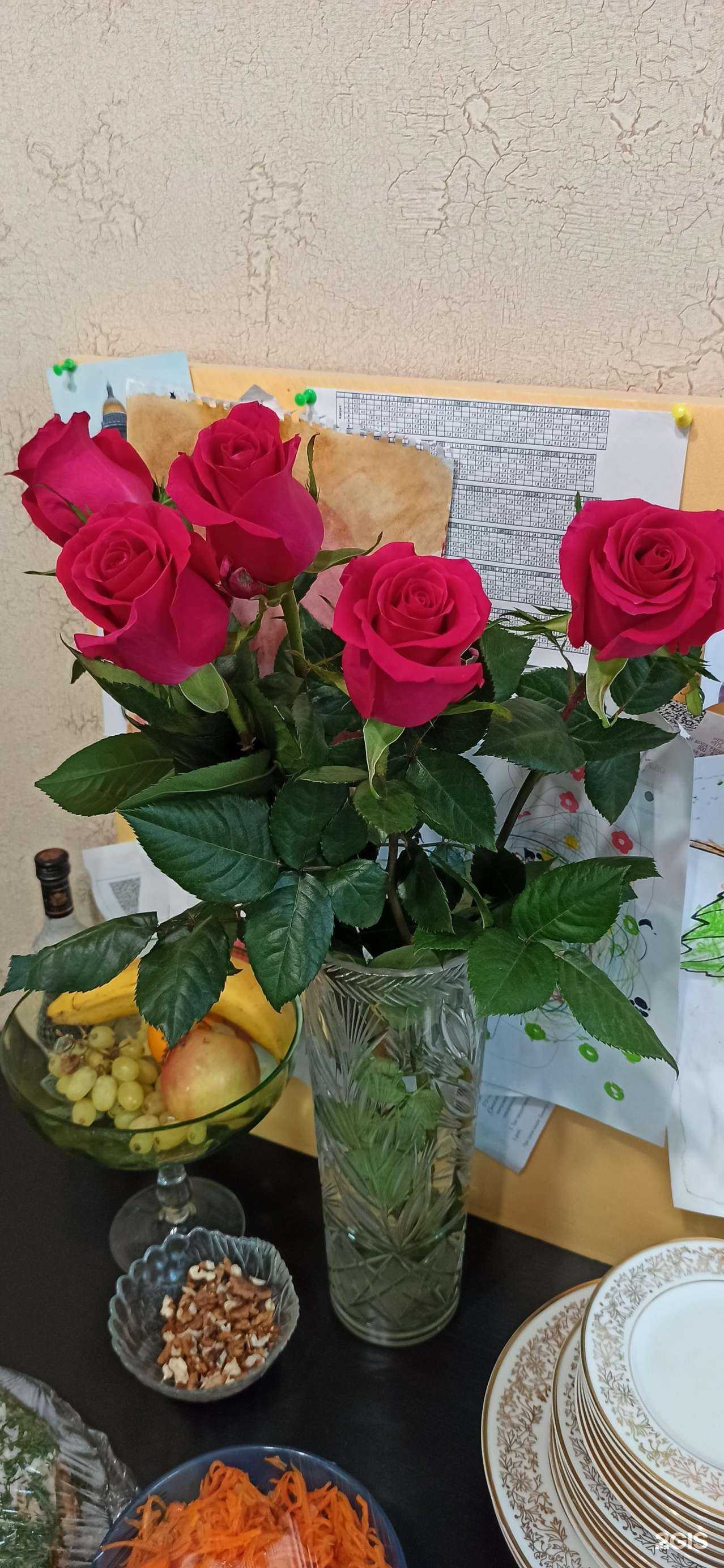 Отзывы на компанию Рускус в Волгограде c фото