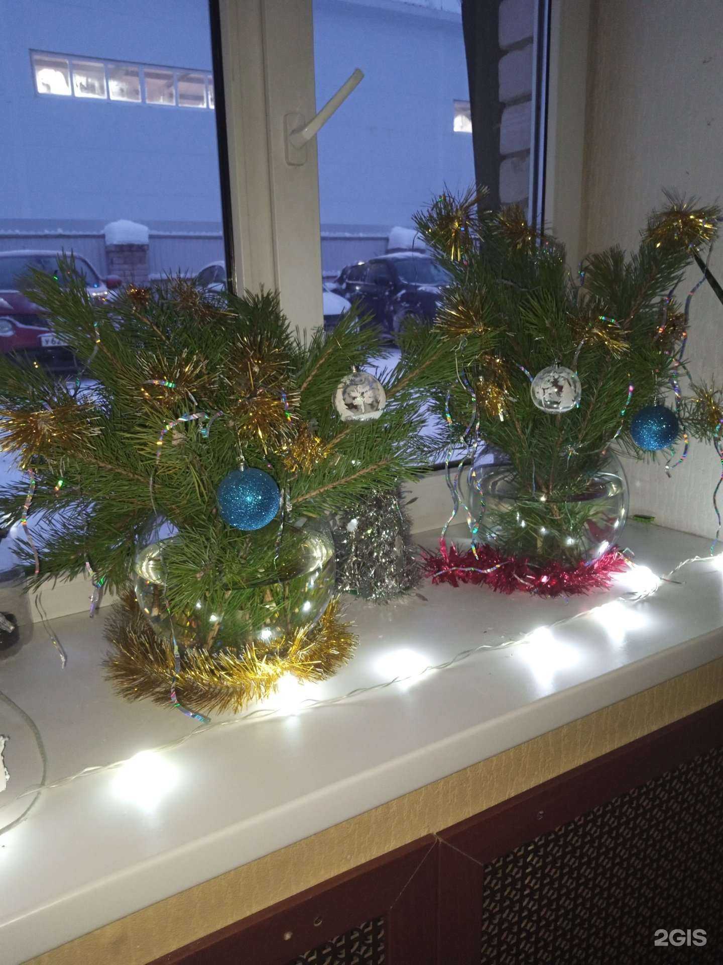 Отзывы на компанию Т5-Zoo в Кирове c фото