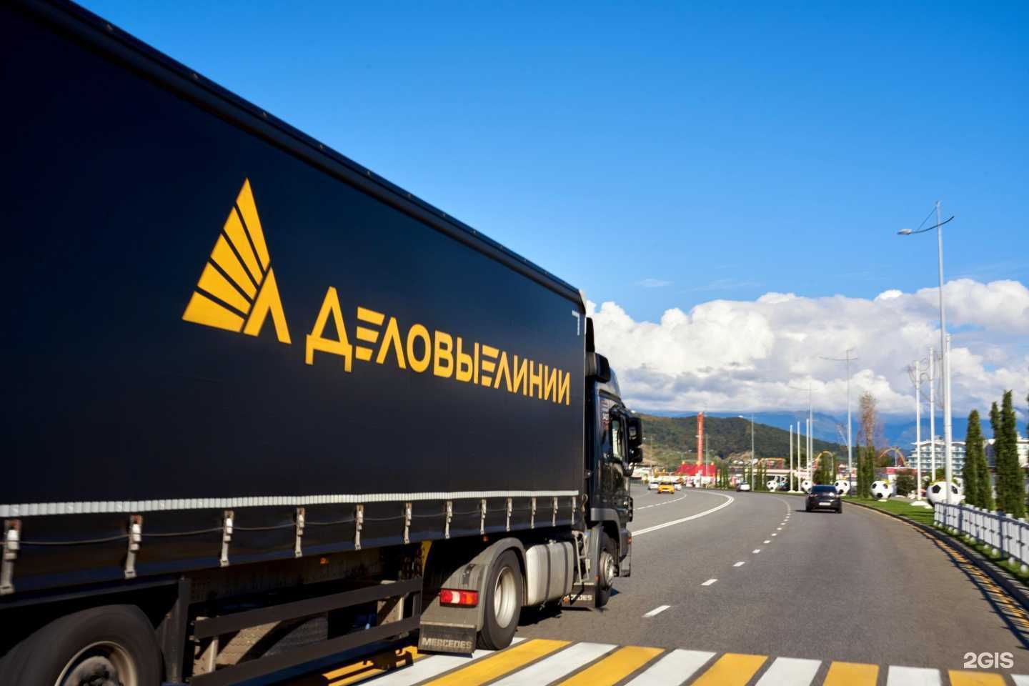 Отзывы на компанию Деловые линии в г. Димитровград c фото