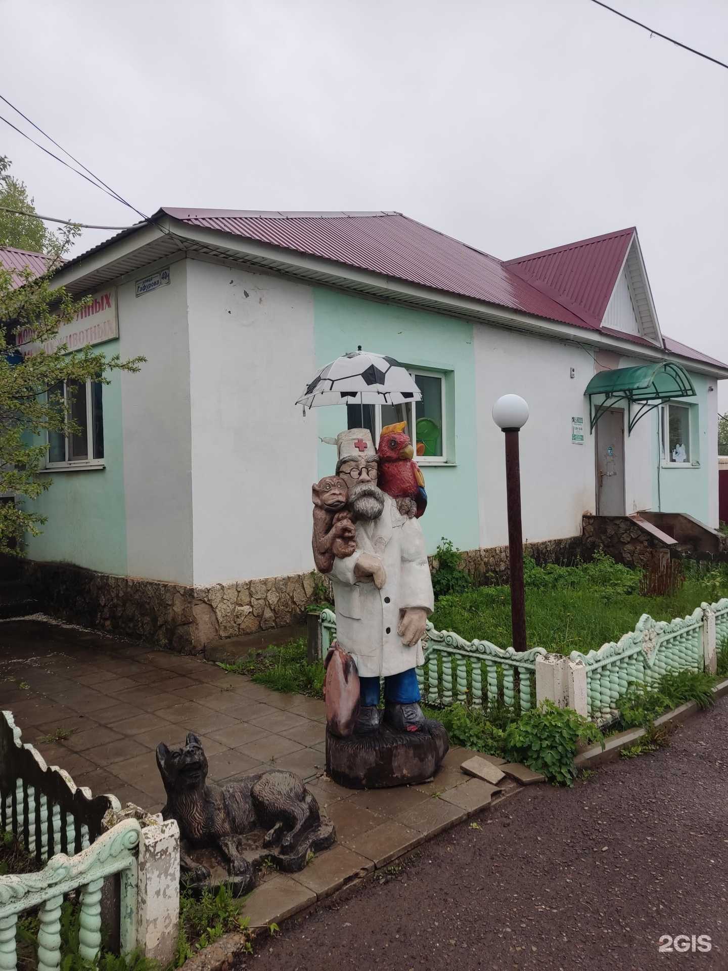 Отзывы на компанию Айболит в Туймазах c фото