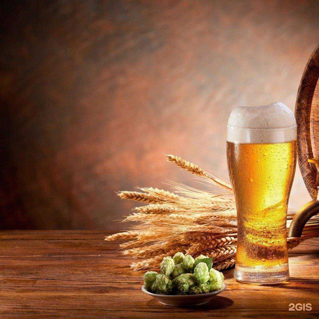 Отзывы на компанию Пивная тема в Кисловодске c фото