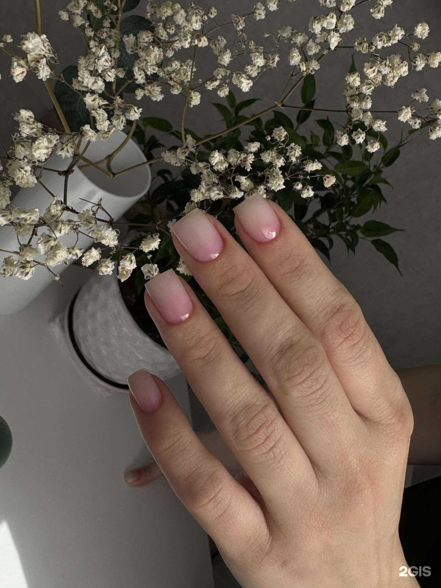 Отзывы на компанию Nail_studio  в Новороссийске c фото