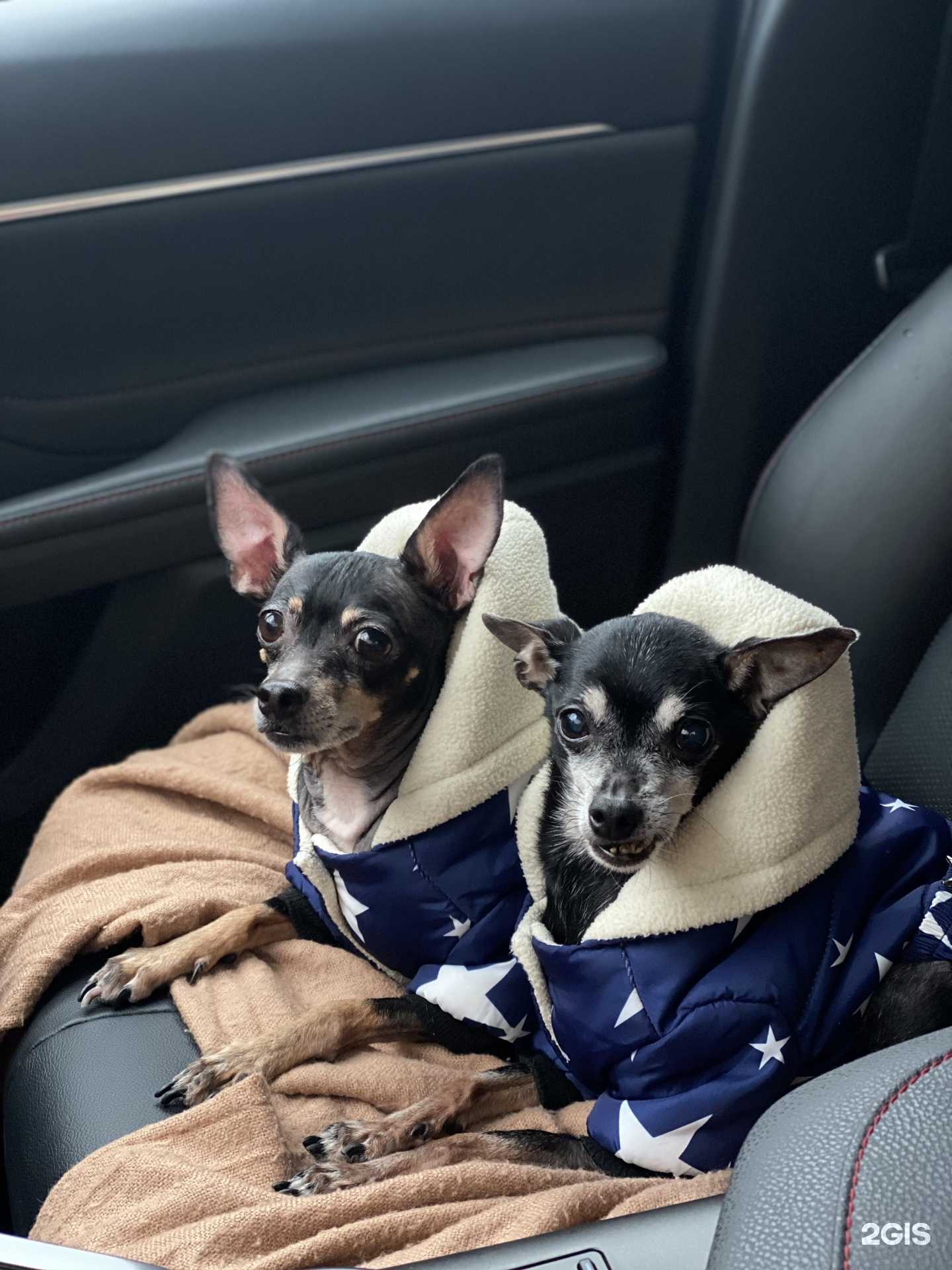 Отзывы на компанию Верные друзья в Томске c фото