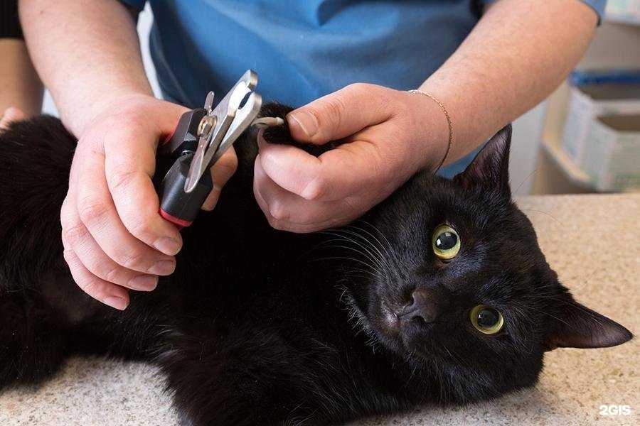 Отзывы на компанию Неболит в Перми c фото