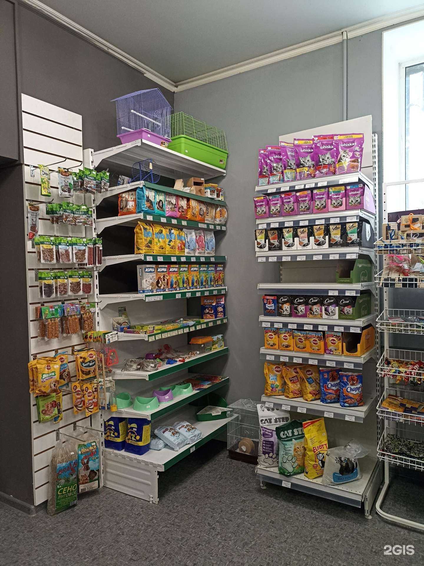 Отзывы на компанию Zooroom в Омске c фото