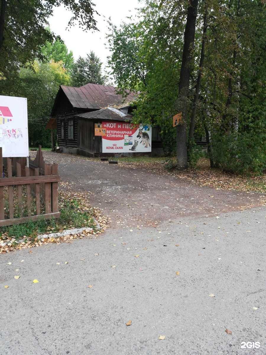 Отзывы на компанию Кот и пес в Краснокамске c фото