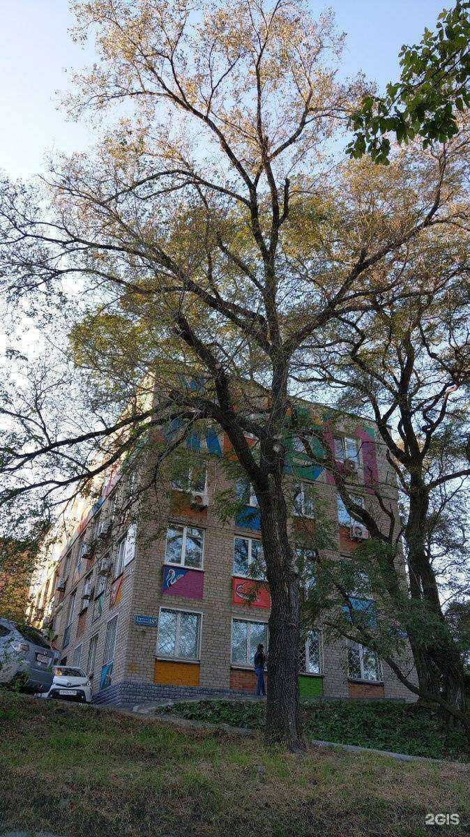 Отзывы на компанию Collage Pro в Владивостоке c фото - фотография 2 из 2