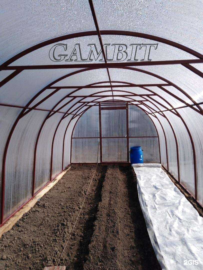 Отзывы на компанию Гамбит в Новокузнецке c фото