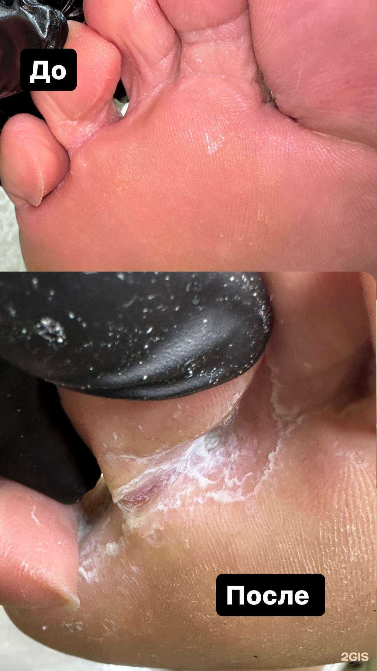 Отзывы на компанию Persona в Новокубанске c фото