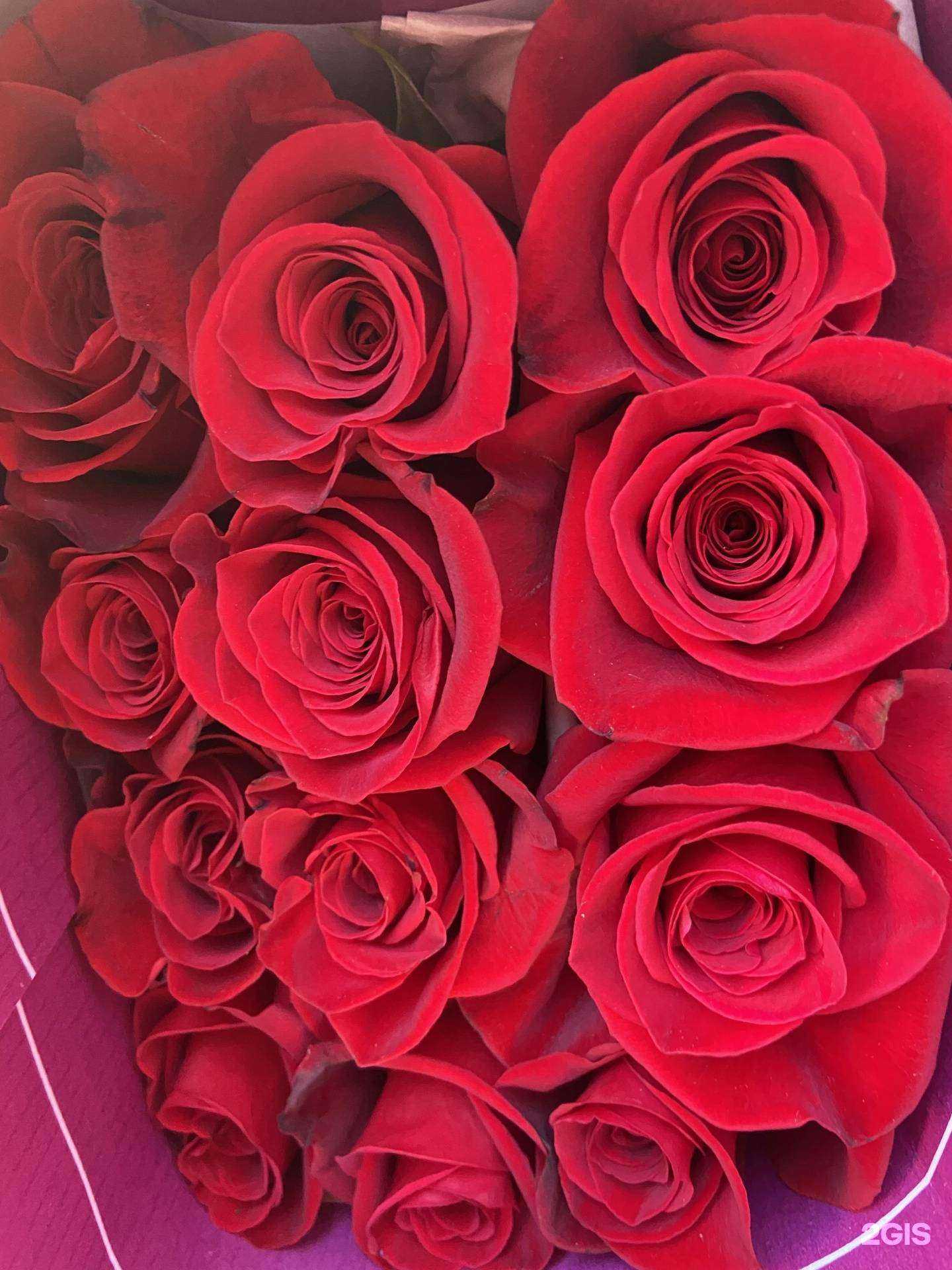 Отзывы на компанию Цветочная поляна в Светлогорске c фото