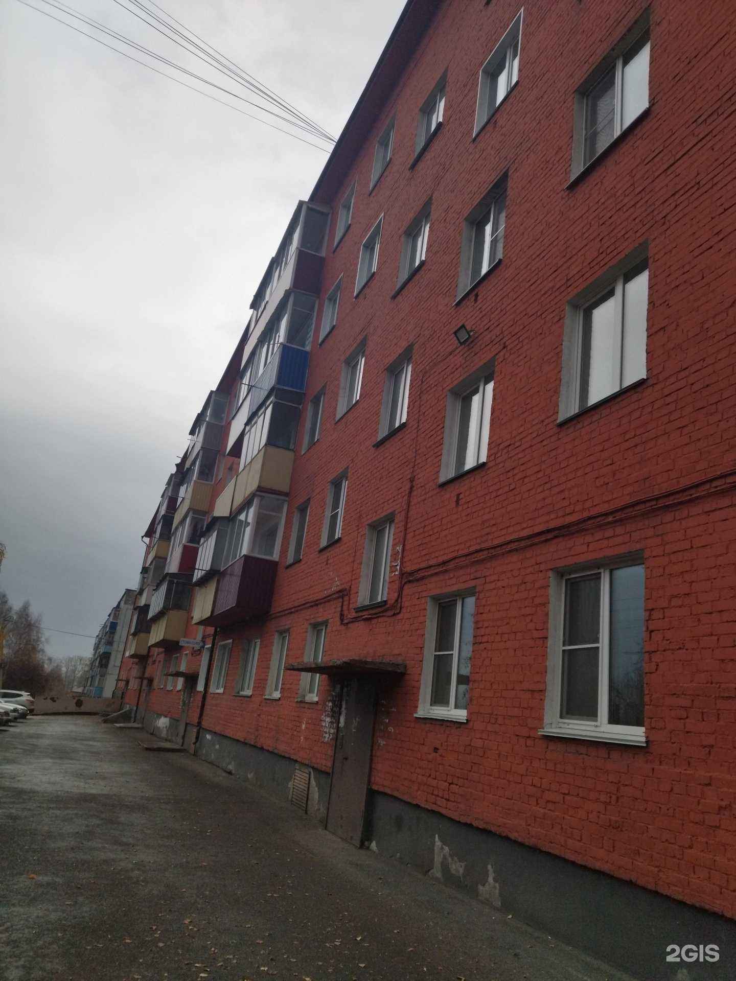 Отзывы на компанию Кактус в Прокопьевске c фото - фотография 2 из 2