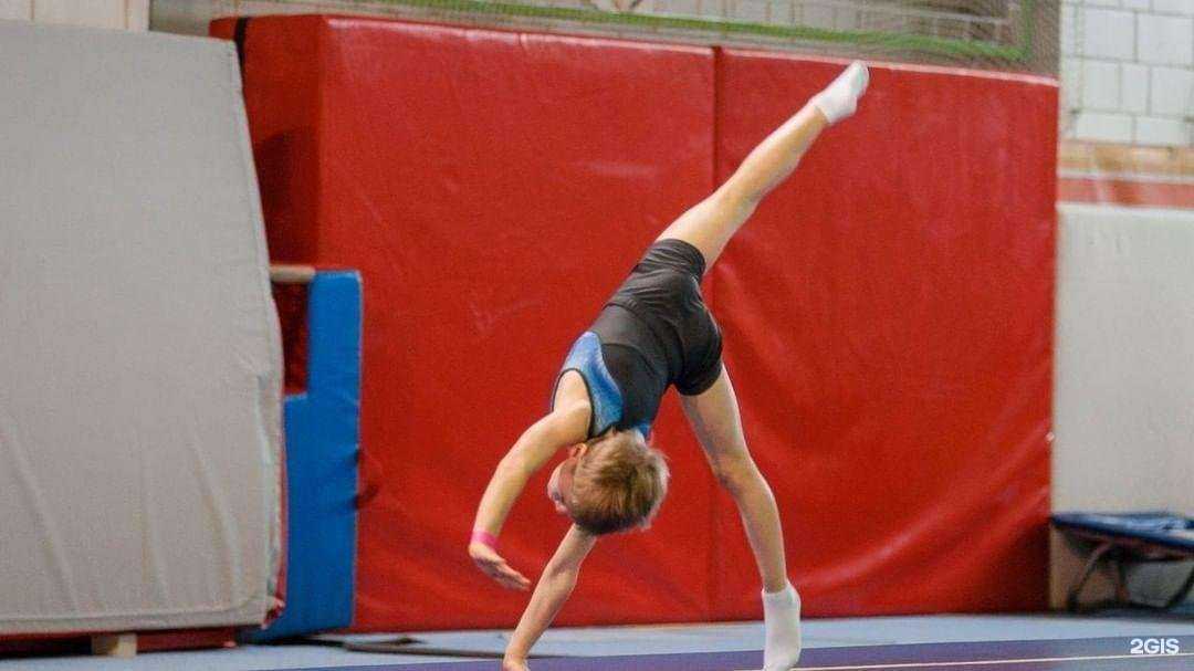 Отзывы на компанию Европейский Гимнастический Центр в Люберцах c фото