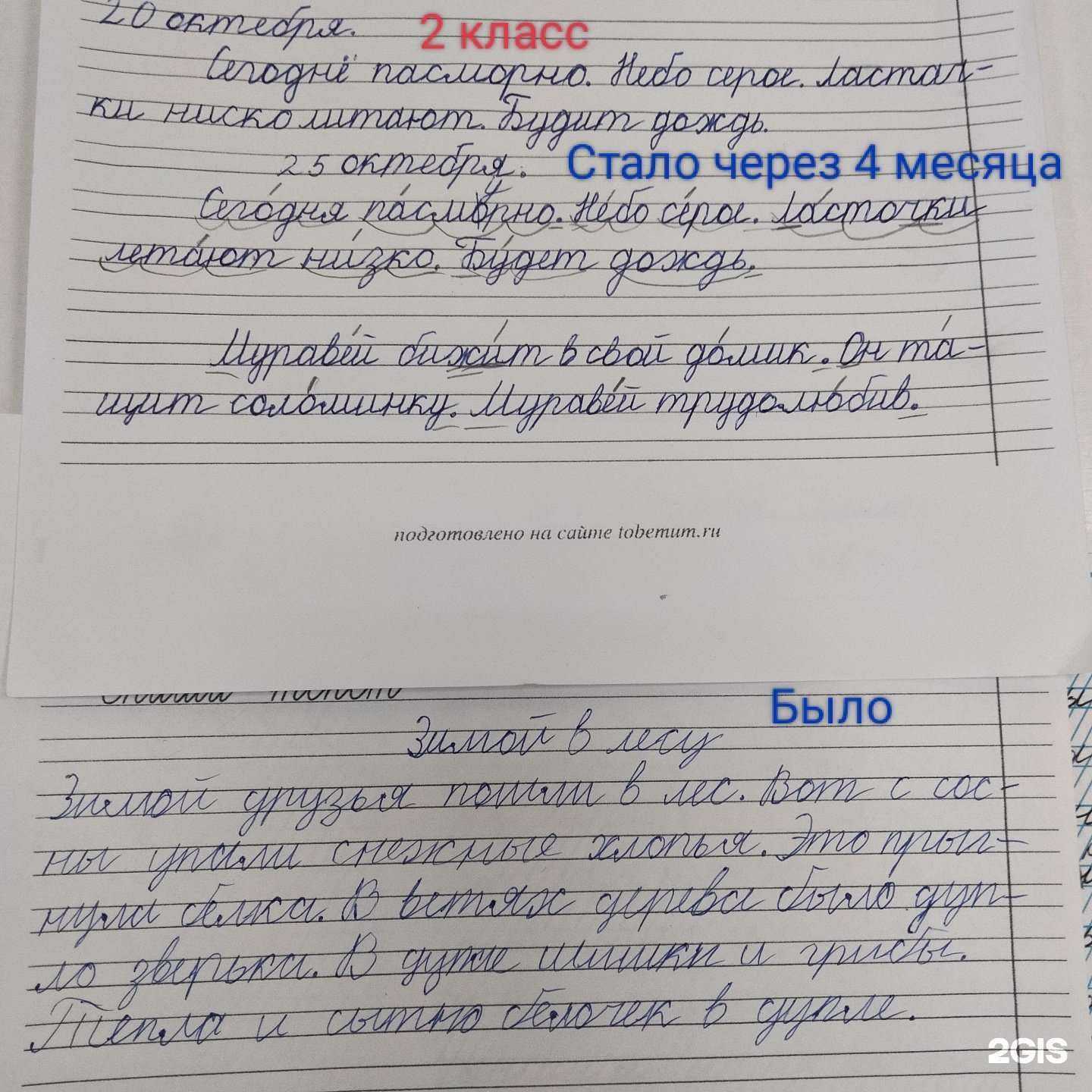 Отзывы на компанию Мудрая семья в Тольятти c фото