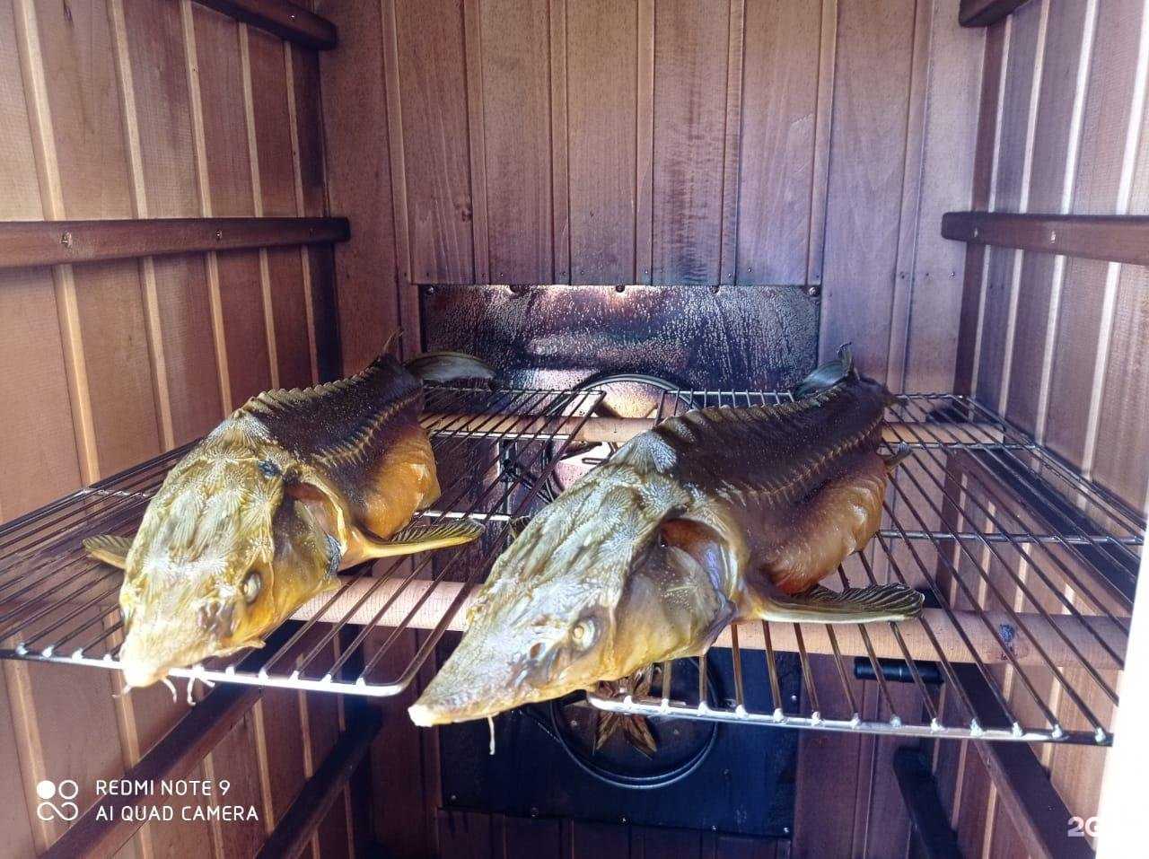 Отзывы на компанию Рыбный магазин в Казани c фото