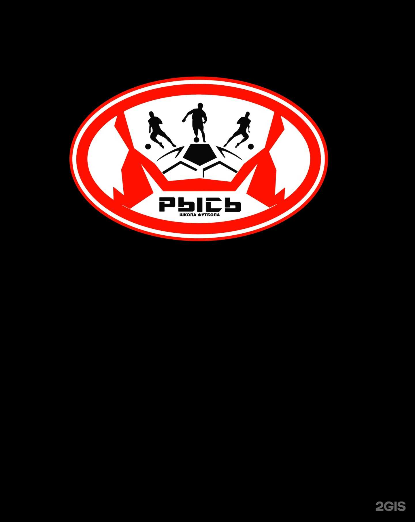 Отзывы на компанию Рысь в г. Химки c фото