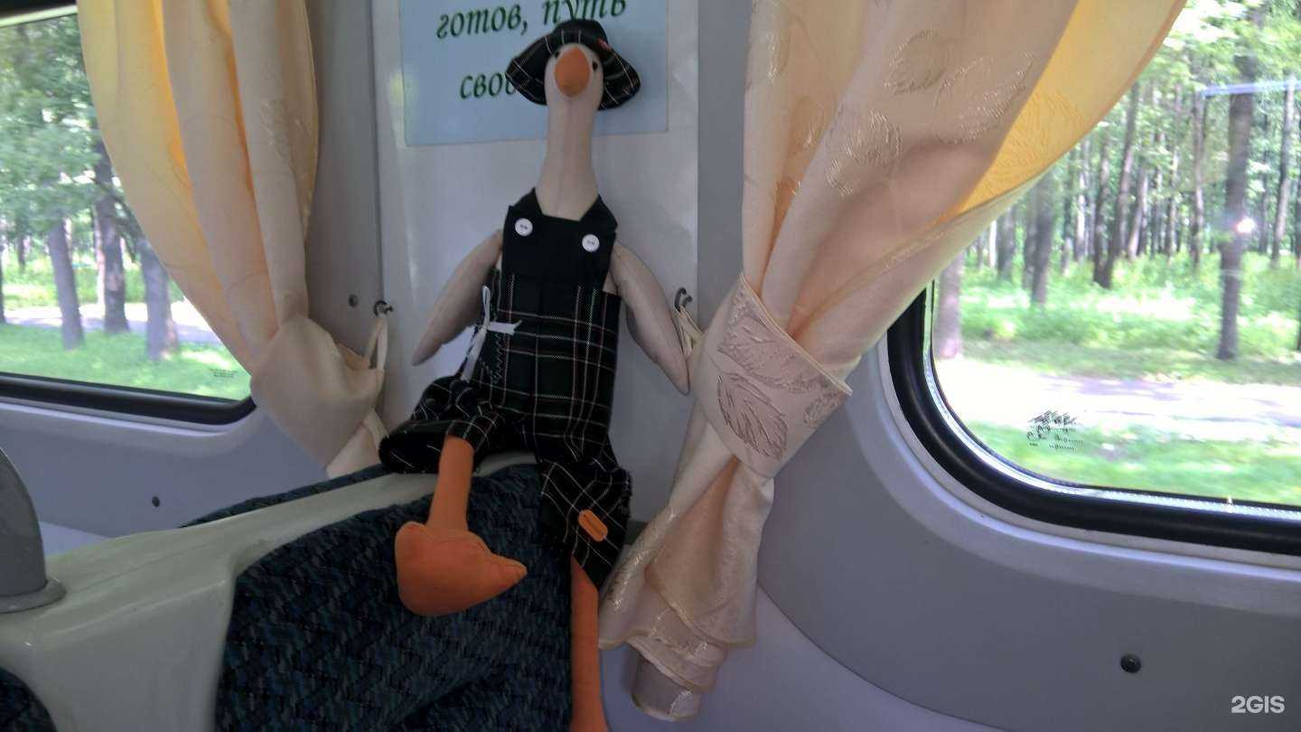 Отзывы на компанию Тульская детская железная дорога в Новомосковске c фото