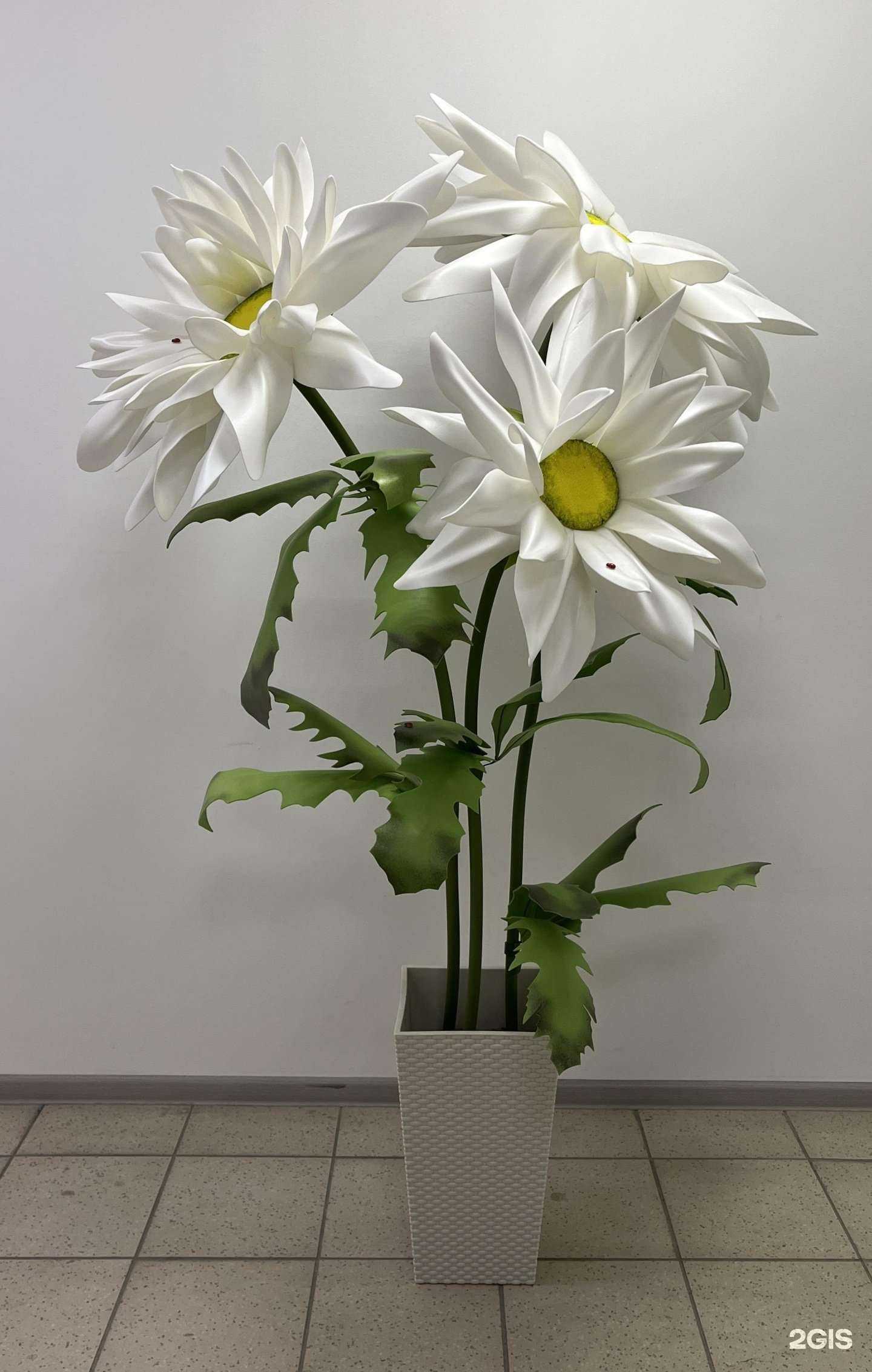 Отзывы на компанию Nat Flora в Перми c фото