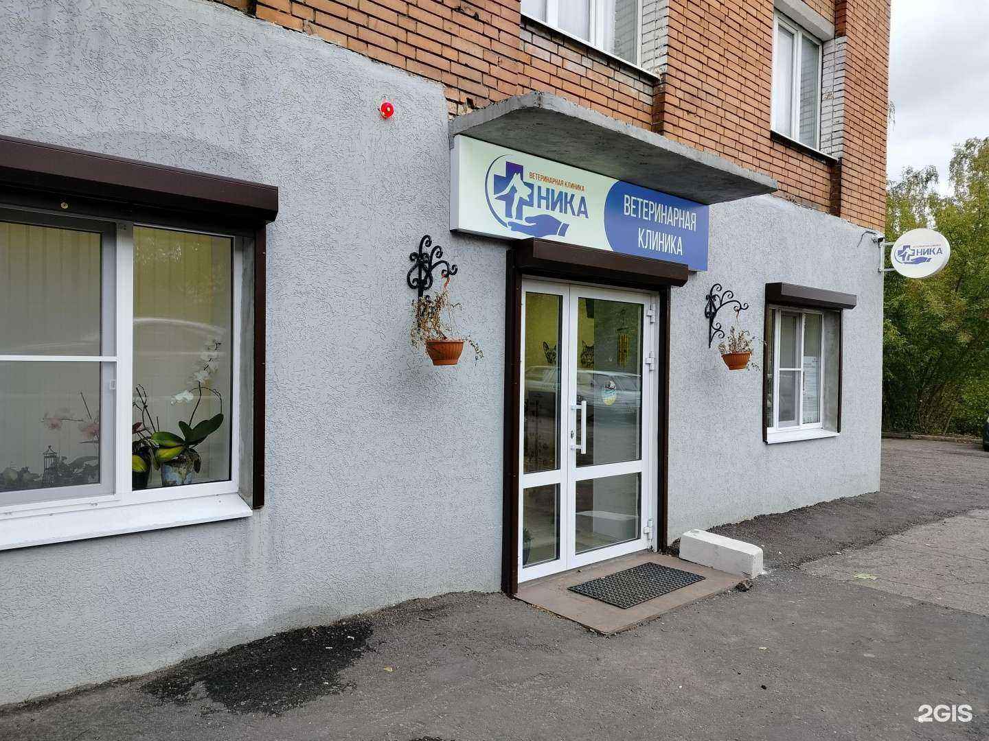 Отзывы на компанию Ника в г. Пенза c фото